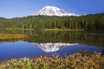 Monte Rainier reflejado - foto de stock