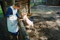 Женщина в пионерском костюме кормит свинью, Форт Эдмонтон, Альберта, Канада — стоковое фото