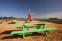 Зелений дерев'яний стіл для пікніка — стокове фото