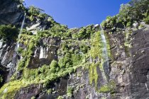 Waterfall In Milford Sound — Stock Photo