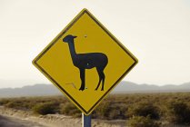 Panneau routier de Llama Crossing — Photo de stock