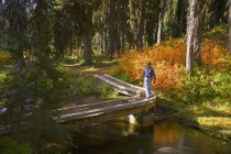 Caminante en el sendero en las cataratas del paraguas en otoño. Mount Hood National Forest, Oregon, EE.UU. - foto de stock