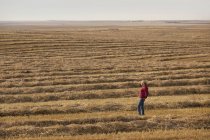Жінка стоїть в полі — стокове фото