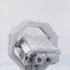 Ice Crystals Clinging — Stock Photo