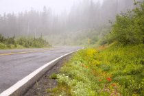 Foggy Road du parc national du Mont-Rainier — Photo de stock