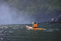 Rear View of Man Kayaking Near Snomie Falls, Вашингтон, США — стоковое фото