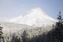 Mount Hood, Oregon, Сша — стоковое фото