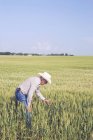 Agricultor en campo de trigo - foto de stock