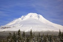 Monte cappuccio coperto di neve — Foto stock