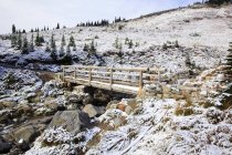 Свежий снег на мосту — стоковое фото