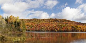 Reflexion der Herbstfarben — Stockfoto