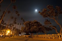 Mondscheinszene im Palisadenpark — Stockfoto
