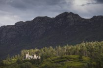 Замок на холме на краю леса — стоковое фото