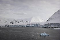 Айсберги вдоль береговой линии — стоковое фото
