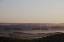 Train de marchandises sur courtes distances dans le brouillard — Photo de stock