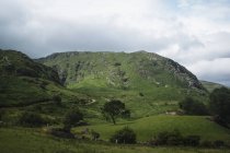 Vista de grande colina verde — Fotografia de Stock