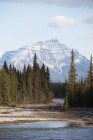 Fiume Athabasca; Alberta canada — Foto stock