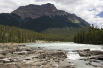 View of Athabasca falls — Stock Photo