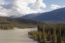 River flowing towards canadian rocky mountains — Stock Photo