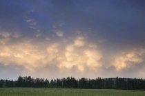 Nubes después de una tormenta al atardecer - foto de stock