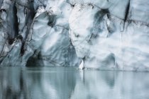 Melting glacier cliff — Stock Photo