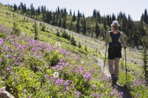 Escursionista femminile a piedi — Foto stock