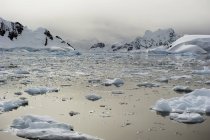 Перегляд айсбергів в Антарктиді — стокове фото