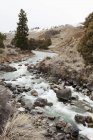 Bach fließt durch Yellowstone Nationalpark — Stockfoto