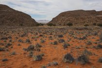 Красная пустынная дорога — стоковое фото