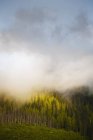 Утреннее солнце сжигает туман — стоковое фото