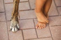 Criança descalço pés — Fotografia de Stock
