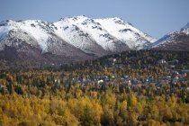 Lado da colina residencial de Anchorage — Fotografia de Stock