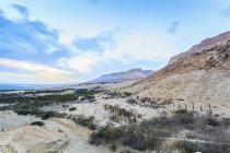 Landscape and the judean mountains — Stock Photo