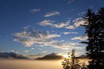 Туман ковдри низовини при сходом сонця — стокове фото