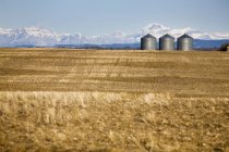 Metal grain bins in stubble field — Stock Photo