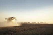 Combine Harvesting Grain — Stock Photo