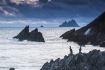 Cormoranes sentados sobre rocas - foto de stock