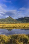 Tidal Slough And Mountain — Stock Photo