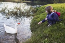 Young girl feeding white duck at the water edge — Stock Photo