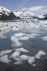 Icebergs flotando en el lago - foto de stock