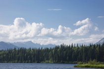 Аляскинский хребет от озера Байерс — стоковое фото