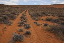 Red desert road — Stock Photo