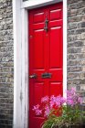 Painted red door — Stock Photo