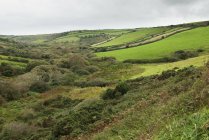 Paesaggio di campi erbosi, Irlanda — Foto stock