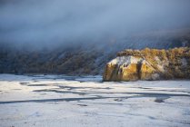 Snow along the east fork river — Stock Photo