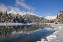 Зимовий пейзаж з Менденхолл річка — стокове фото