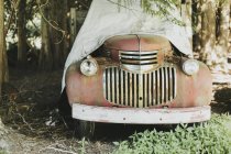 Vintage coche debajo de los árboles - foto de stock