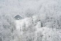 Scheune im Winter von Bäumen und Schnee umgeben — Stockfoto