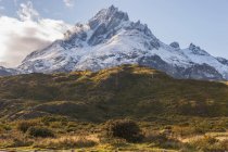 Paine grande montanha — Fotografia de Stock
