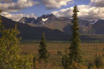 Vista da gama do Alasca — Fotografia de Stock